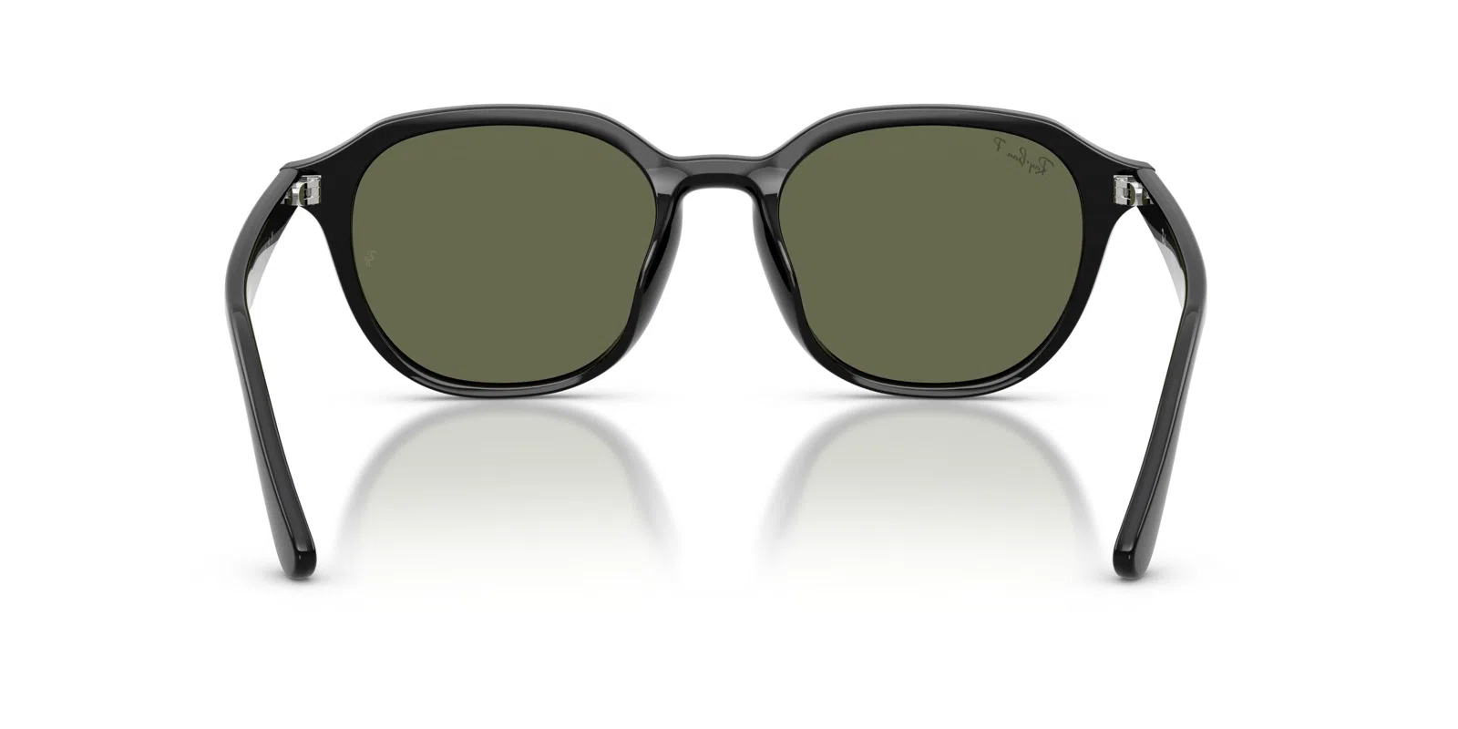 Ray-Ban 4459D Sunglasses - view 20